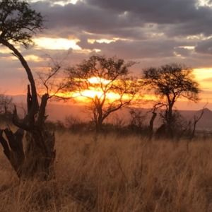 Meet your Posher, Matthew